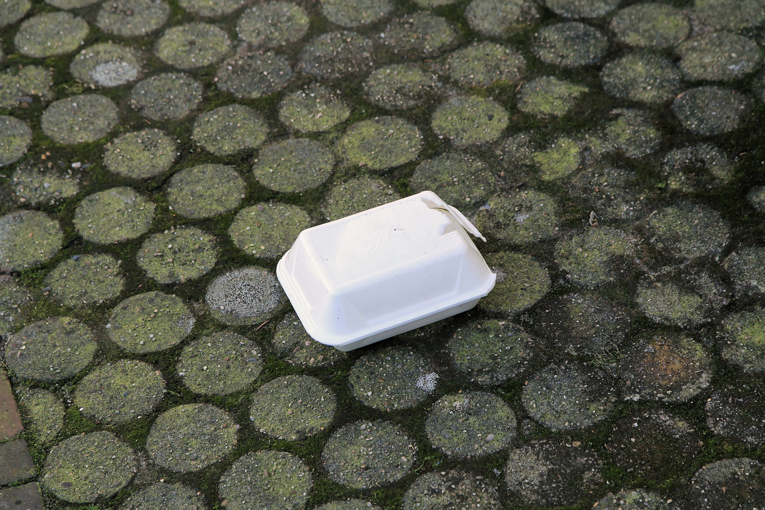Why Styrofoam Is So Bad for the Environment - The Zero Waste Family®